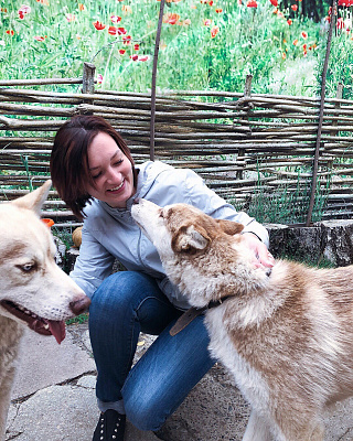 Катание на хаски в Ижевске. Ultra Подарки. Катание на хаски в Ижевске. Попробуйте Катание на хаски. Сервис: UltraPodarki.ru 8 800 505 95 30. Катание на хаски Ижевск, Катание на хаски в Ижевске, хаски, животные в Ижевске, 