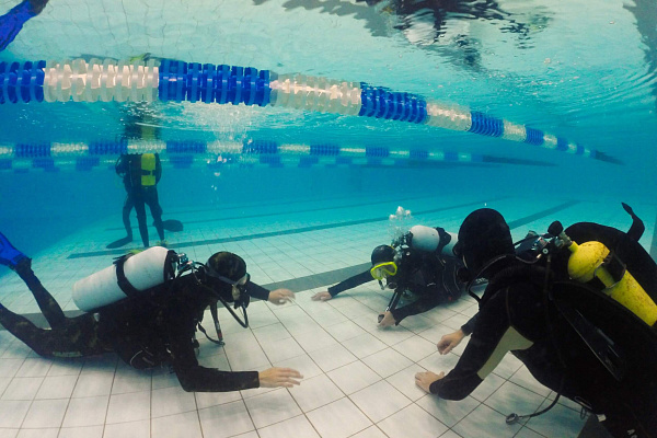 Дайвинг в Ижевске глубокое погружение с аквалангом. Ultra Подарки. Дайвинг. Купить дайвинг в Ижевске, обучение глубокому погружению, арендовать акваланг и подводное снаряжение. UltraPodarki.ru 8 800 505 95 30. дайвинг погружение Ижевск, подводное плавание Ижевск, дайвинг клуб Ижевск, подарочные сертификаты, глубокое погружение, погружение с аквалангом Ижевск, дайвинг центр Ижевск, купить дайвинг Ижевск